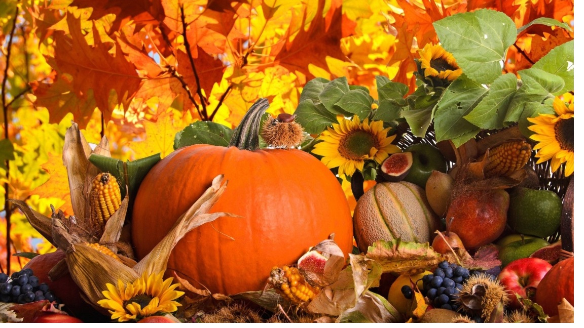 Padá listí zlaté, rudé, je ho plná zahrada,...